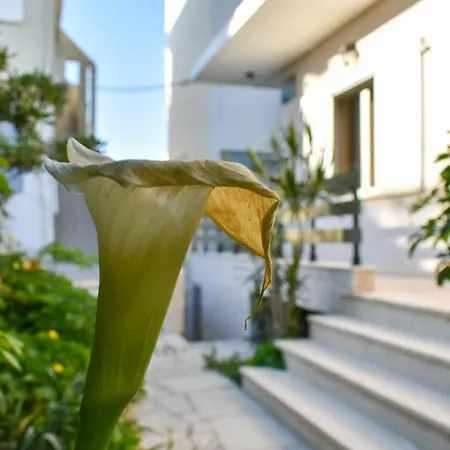 Holiday home Anastasia Mare #a# Rethymno (Crete)